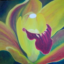 orchid-yellow1
