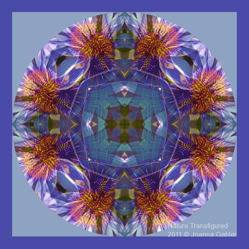 Flower Mandalas — view this gallery