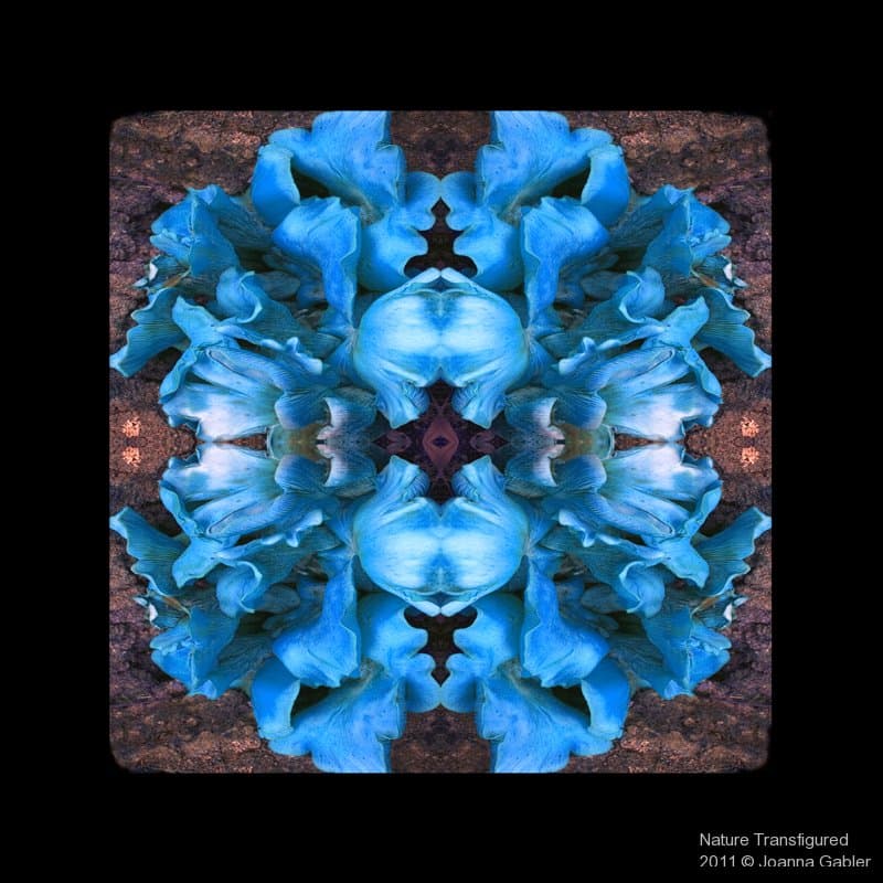 Mandalas — view this gallery