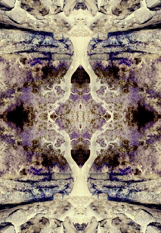 Nature — view this gallery